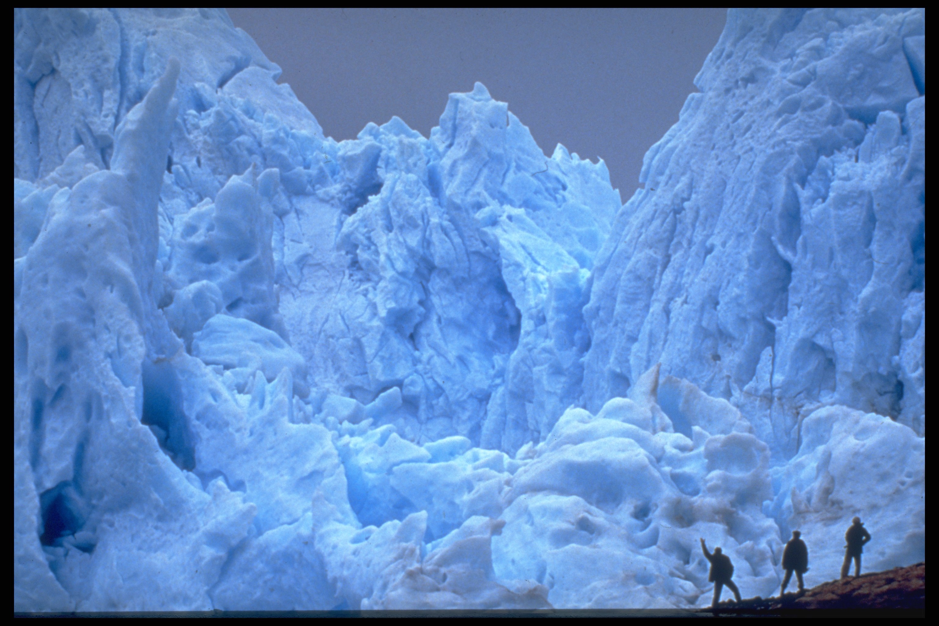 Calafate - .