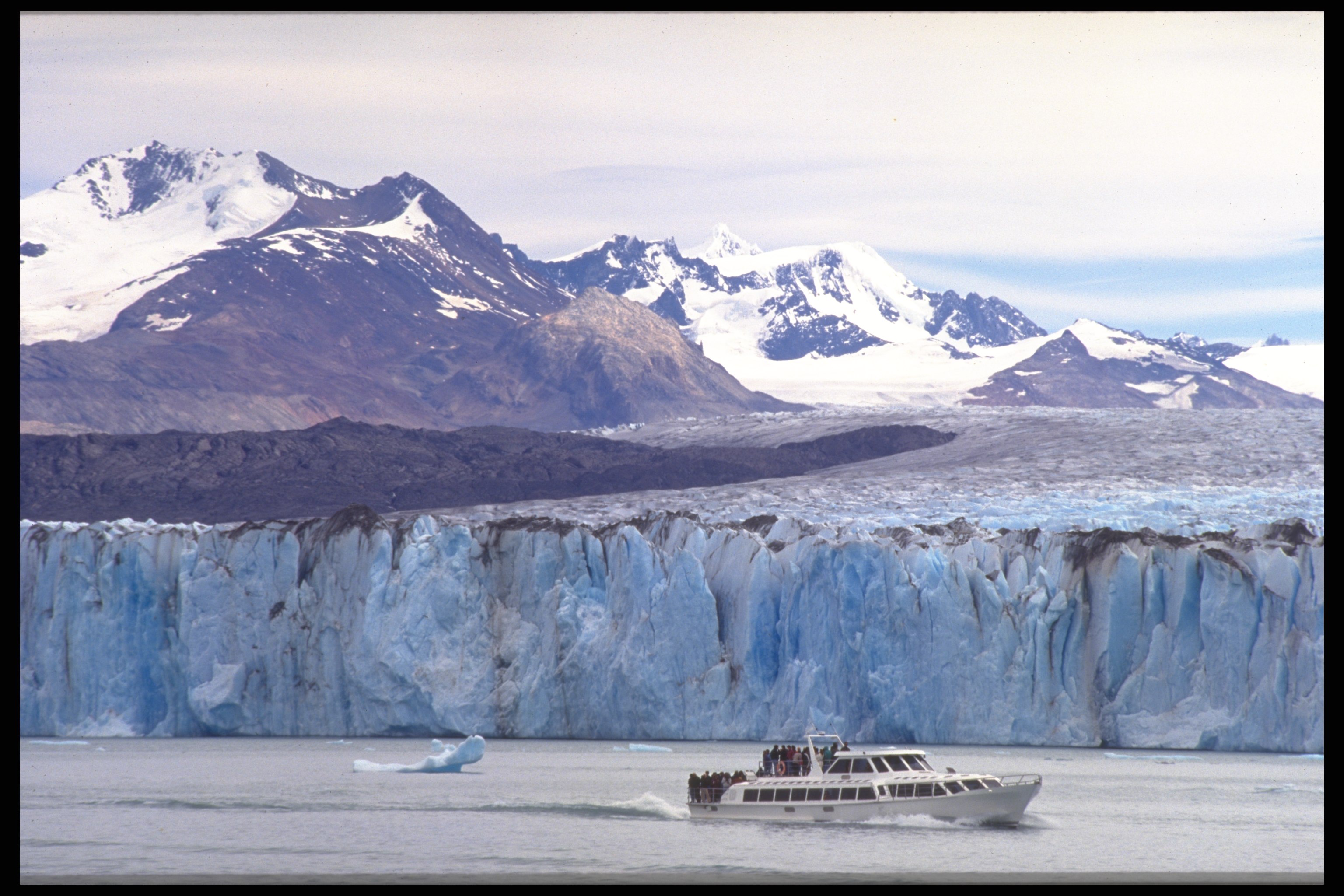 Calafate - .