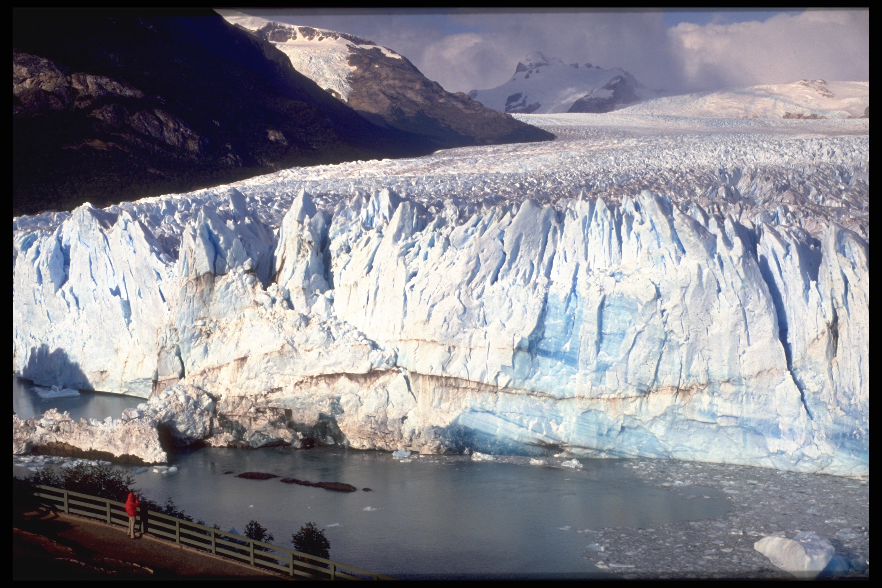 Calafate - .